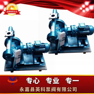 304不銹鋼電動隔膜泵